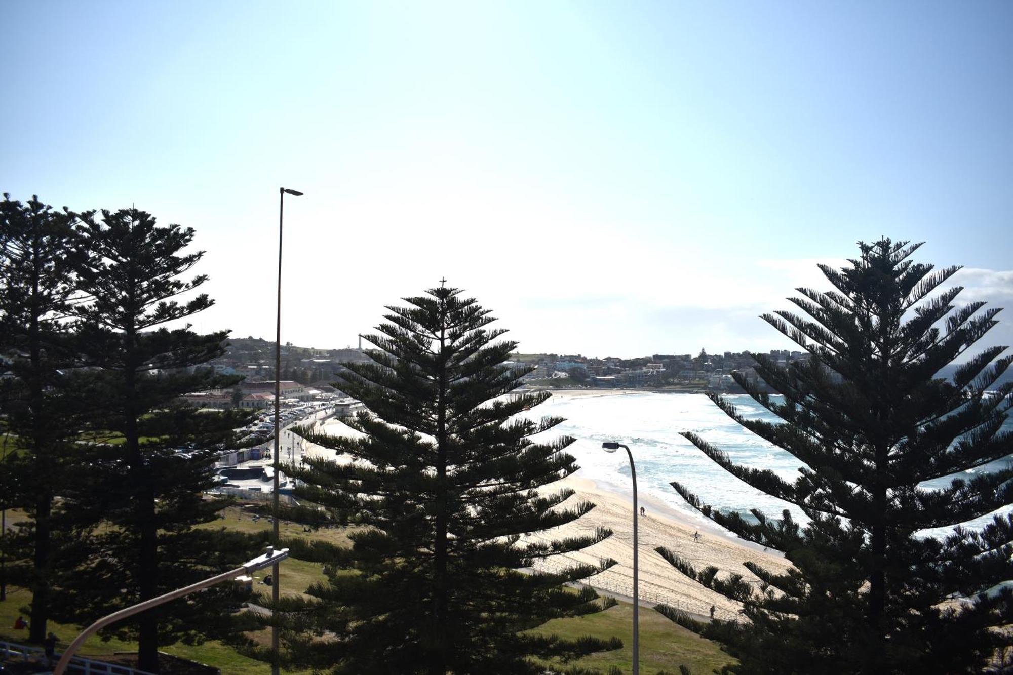 Bondi 38 Apartamentos con servicio Sídney Exterior foto